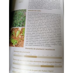 El llibre de les plantes silvestres comestibles v 01