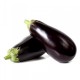 Albergínia negra rodona ( kg  )