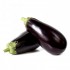 Albergínia negra rodona Eco (kg )