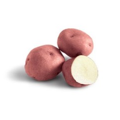 Patata vermella kg  