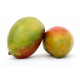 Mango nacional Eco (u)