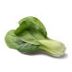Pak choi (u)