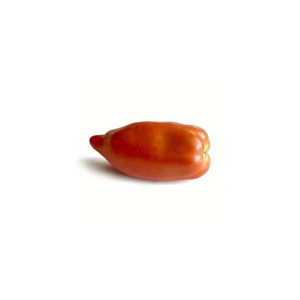 Tomata del bitxo  ( kg )