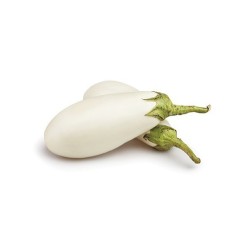 Albergínia blanca 