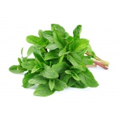 Menta manat