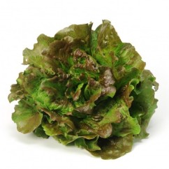 Enciam meravella (u)