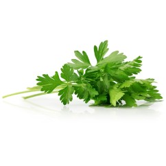 Julivert manat