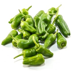 Pebrot padró dolç (kg)