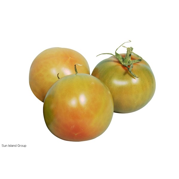 Tomata rodona plena ( kg )
