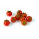 Tomata sucar ( kg )