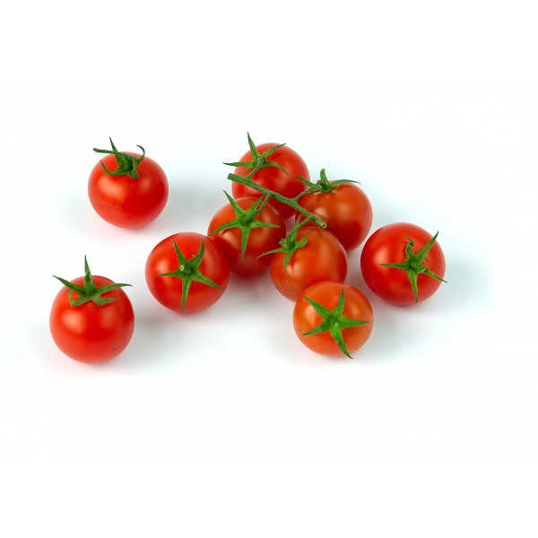 Tomata sucar ( kg )