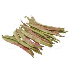 Mongeta del Carme tendra (kg)