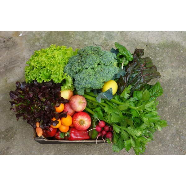 Cistella mitjana verdura i fruita Eco
