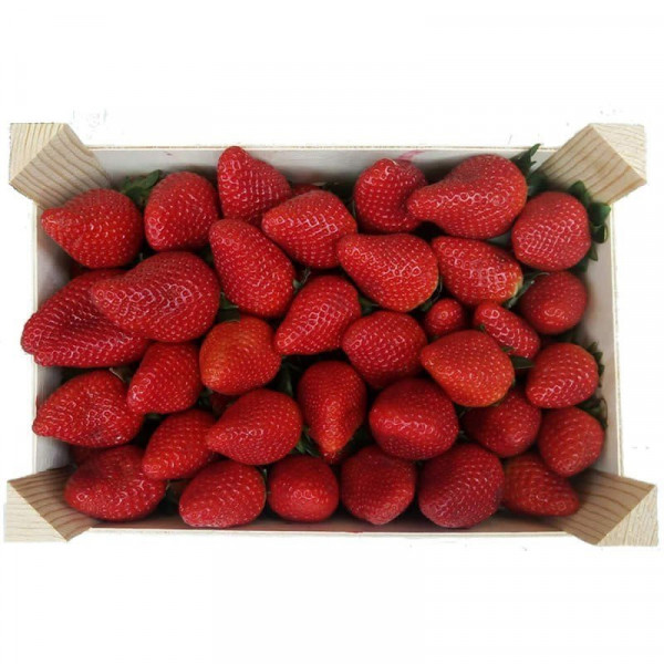 maduixot 1kg