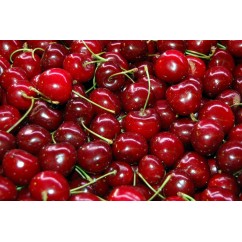Cirera (kg)